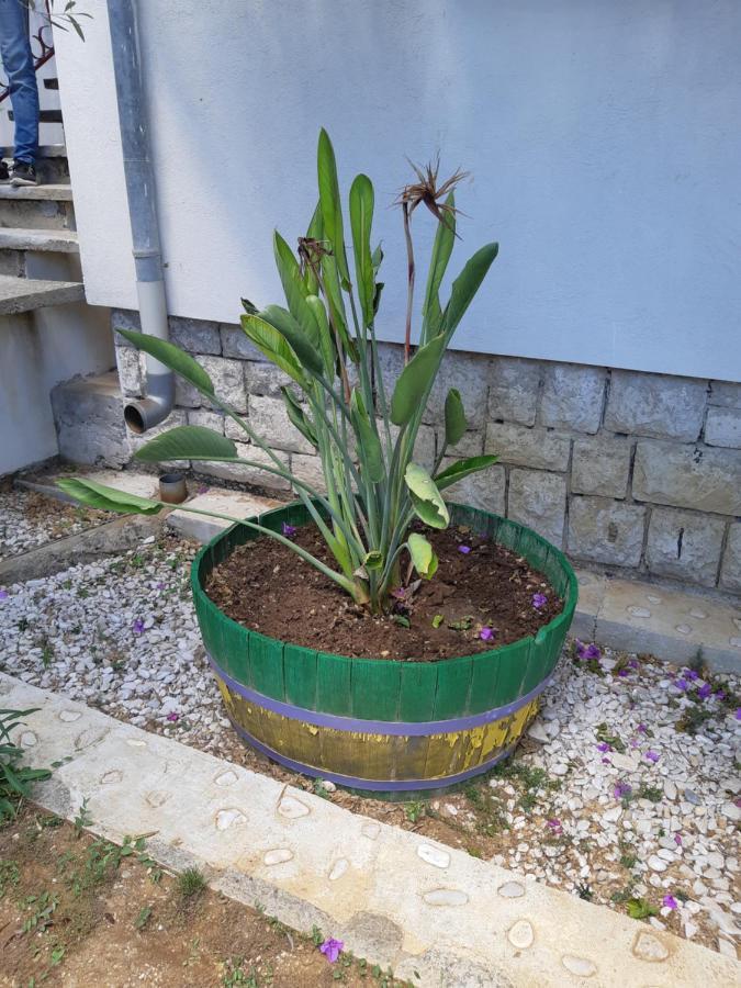Apartman Vede Bacina Zewnętrze zdjęcie